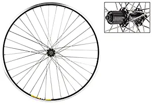 Wheel Master Weinmann 700C Rear Wheel, Quick Release, 36H, Black